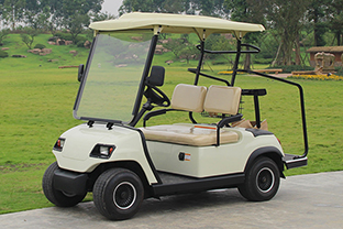 2座高尔夫球车 型号：LT-A2