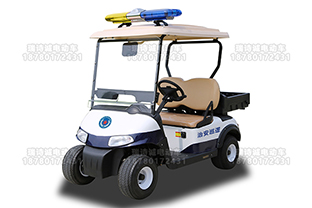 2座敞篷电动巡逻车 型号：RSC-x4-2e