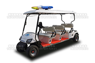 6座电动巡逻车 型号：RSC-x1-6e